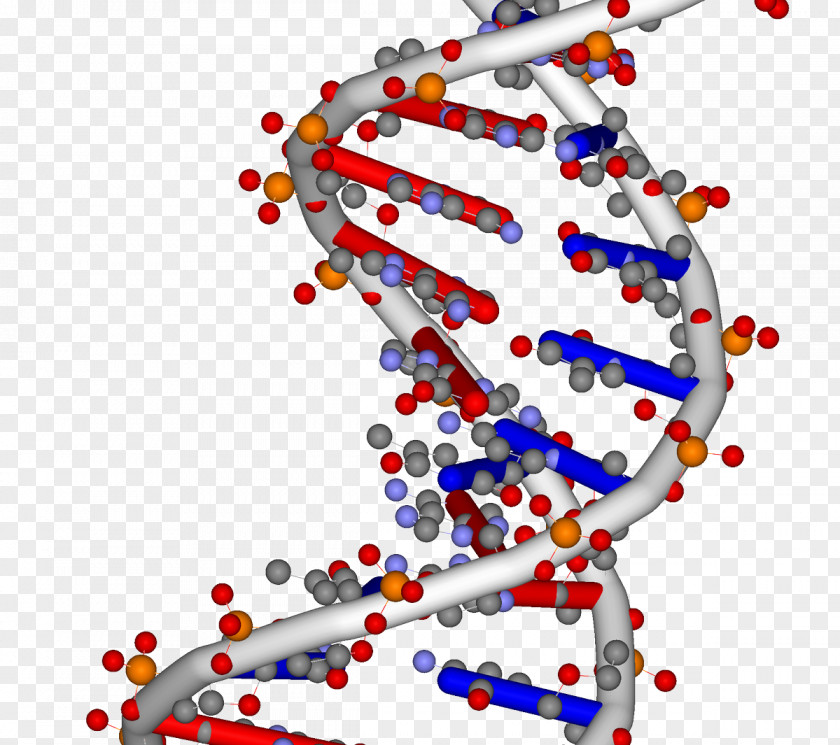 Science DNA Nucleic Acid Double Helix RNA Genome PNG