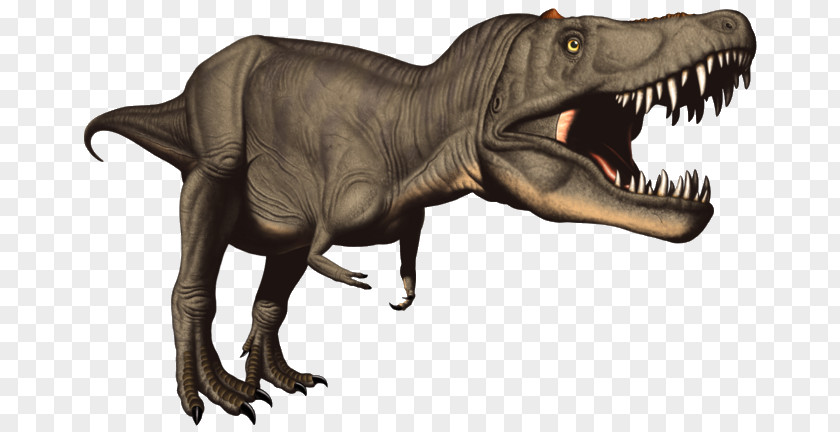T-Rex Cliparts Jurassic Park III: Builder Tyrannosaurus Rex Styracosaurus Giganotosaurus Stegosaurus PNG