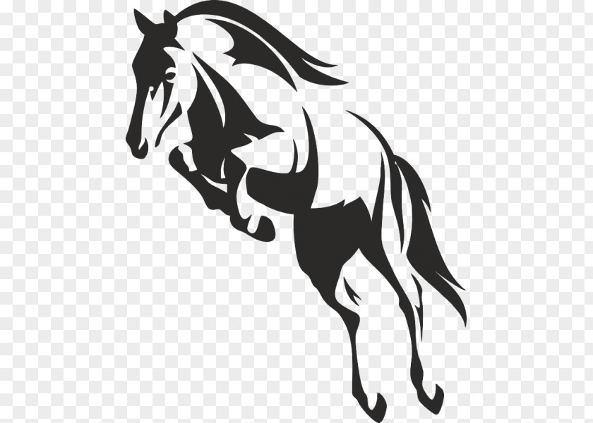 Belle Flying Horses Pegasus Stallion Wing PNG