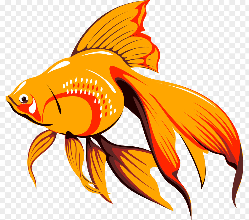 Gold Fish Clipart Veiltail Free Content Clip Art PNG