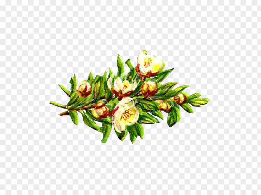 Graphic Flower Images Paper Bouquet Clip Art PNG