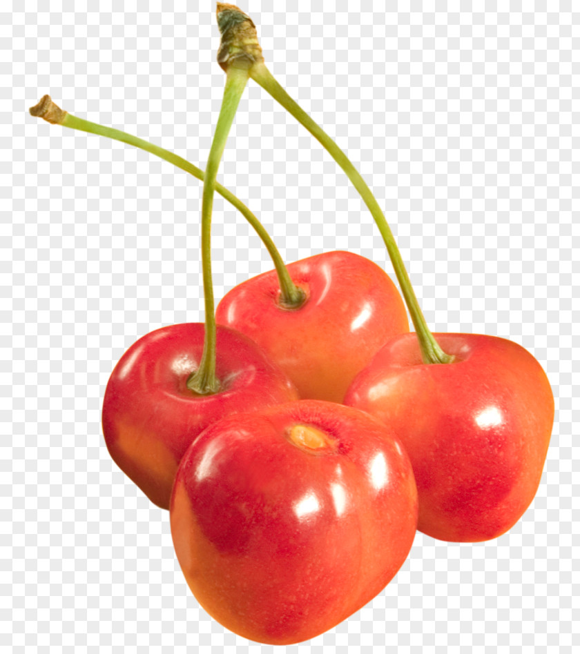 Cherry Barbados Fruit PNG