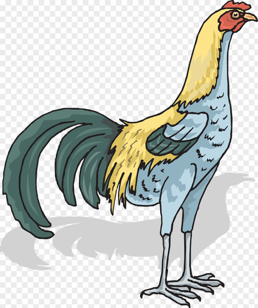 Cock Chicken Rooster PNG