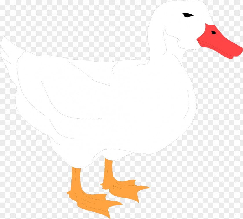 Duck White Cliparts American Pekin Mallard Clip Art PNG