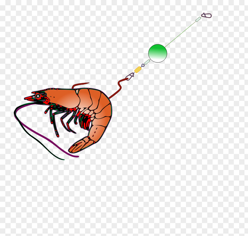 Fishing Bait Rods Shrimp Baiting Clip Art PNG