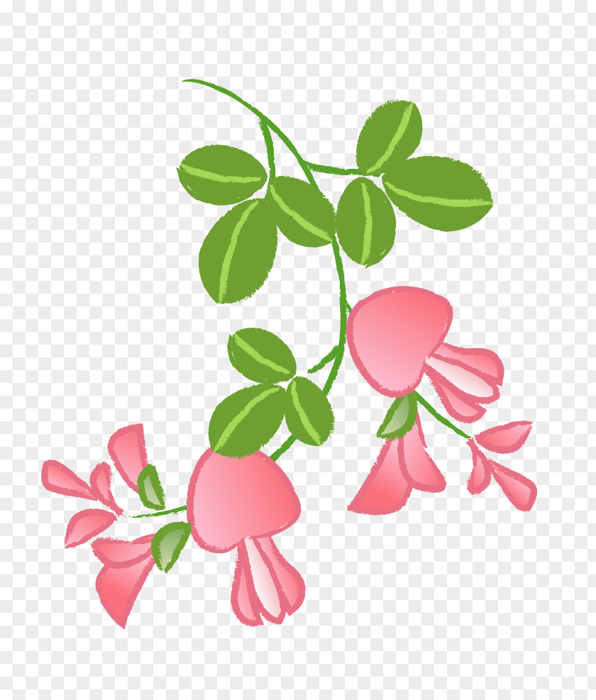 Leaf Petal Cut Flowers Floral Design Flowering Plant Stem PNG