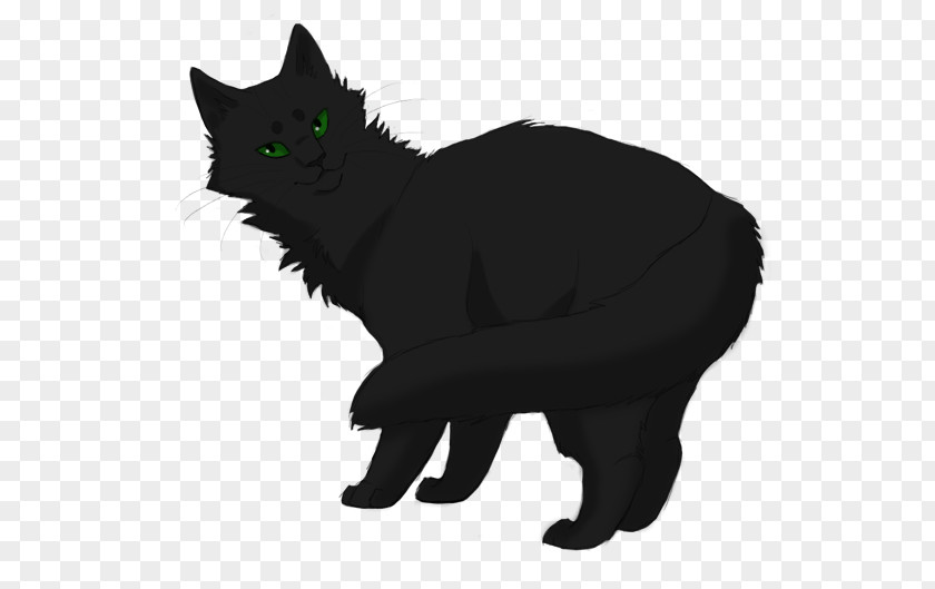 Long-haired Warriors Hollyleaf Drawing Clip Art PNG