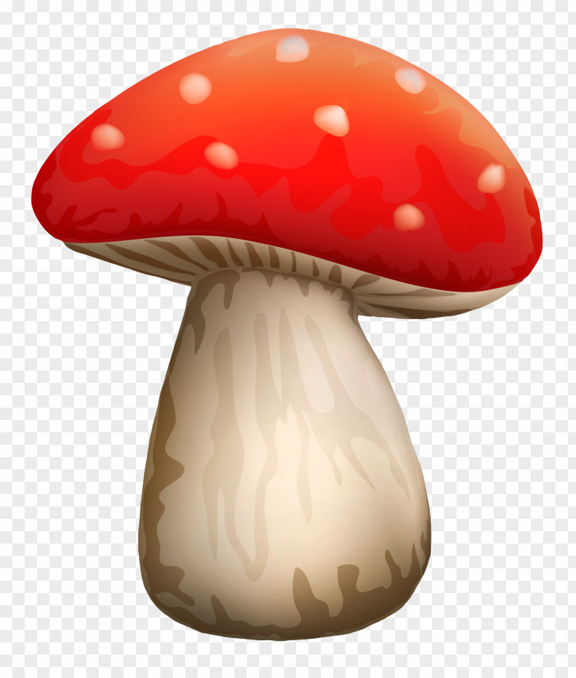 Mushroom Common Fungus Clip Art PNG