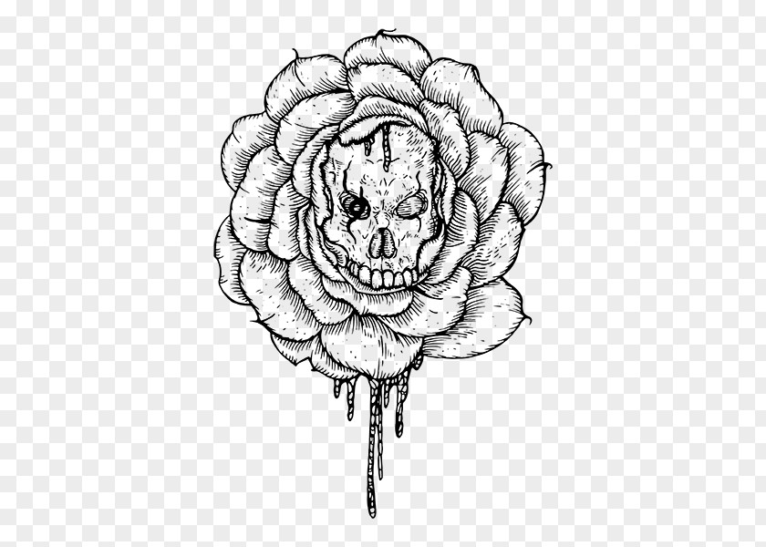 Skull And Flower Sketch Flowers Roses Floral Design Illustration Visual Arts PNG