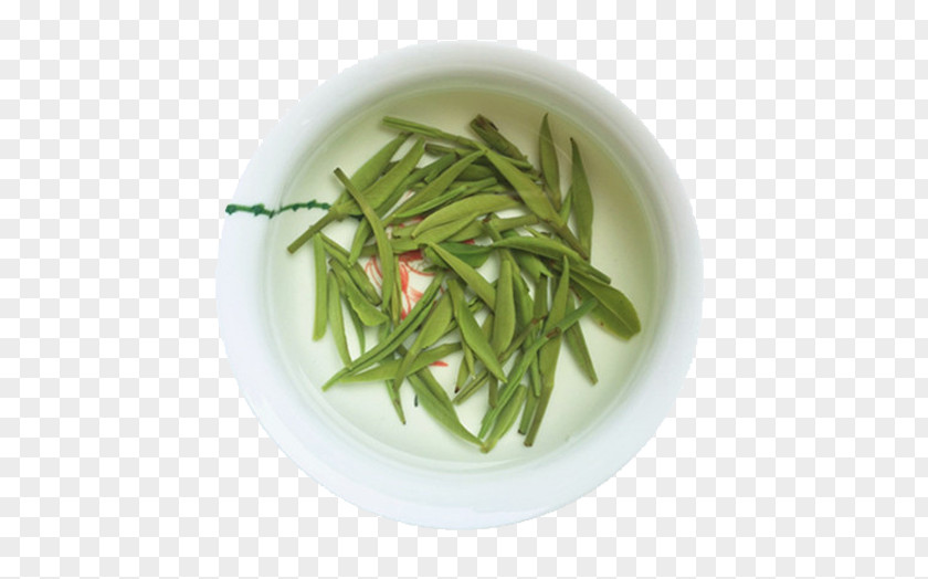 Tea Tips At The Bottom Of Cup Longjing Xinyang Maojian PNG