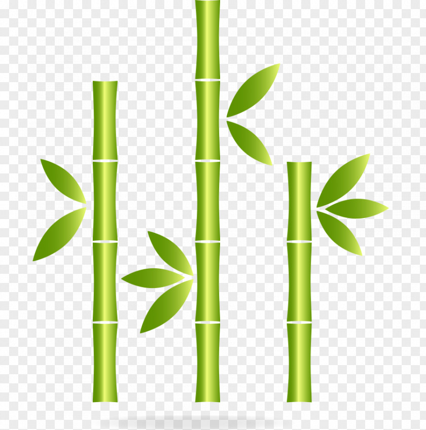 Vector Decorative Pattern Green Bamboo Plants Icon PNG