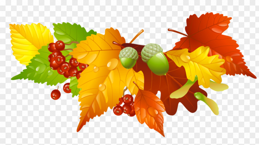 Autumn Clip Art Wreath Image Illustration PNG