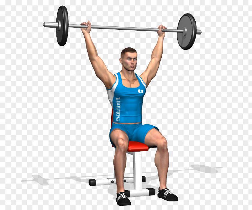 Barbell Weight Training Physical Exercise Overhead Press Strength PNG