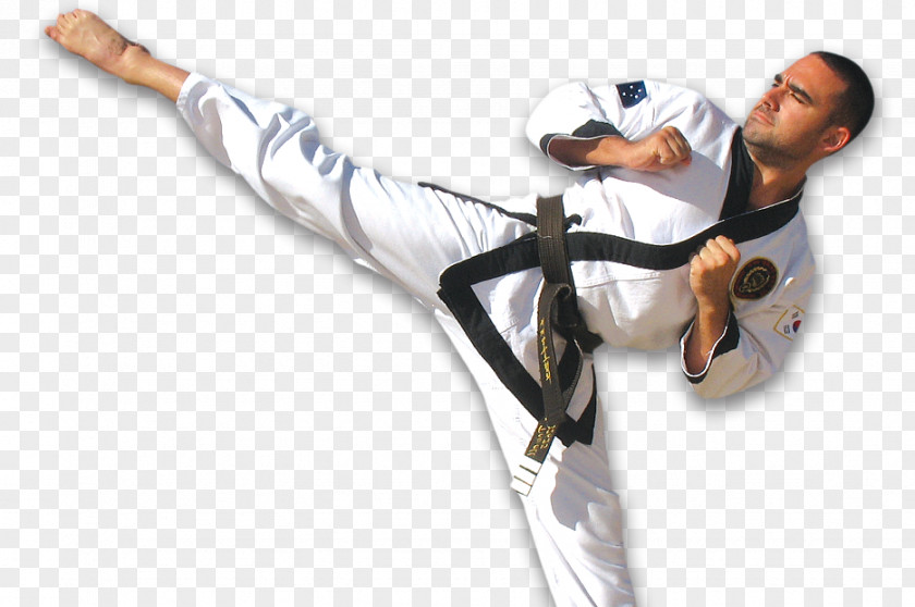 Karate Tang Soo Do Korean Martial Arts Master's Degree PNG