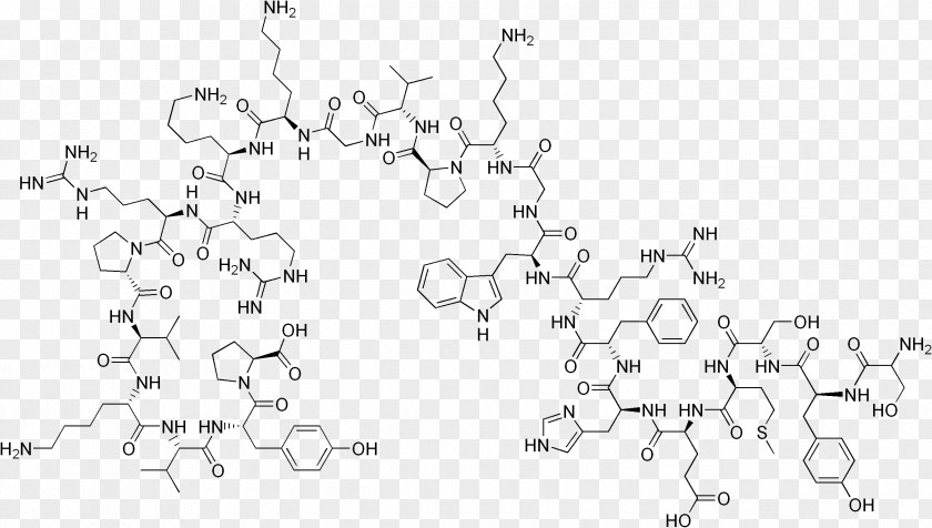 Adrenocorticotropic Hormone Corticotropin-releasing Chemical Substance PNG