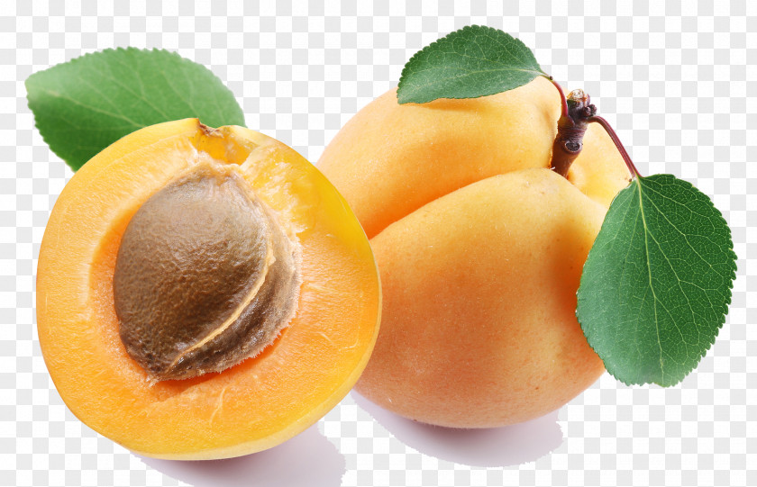 Apricot Clipart Oil Strudel Kernel Fruit PNG