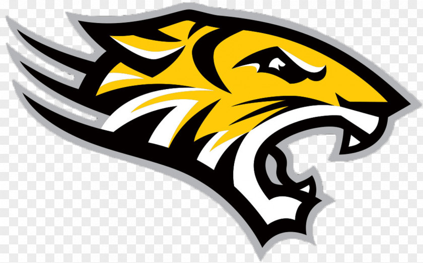 Black And White Cartoon Tiger Towson University Tigers Football Men's Basketball Women's Sports PNG