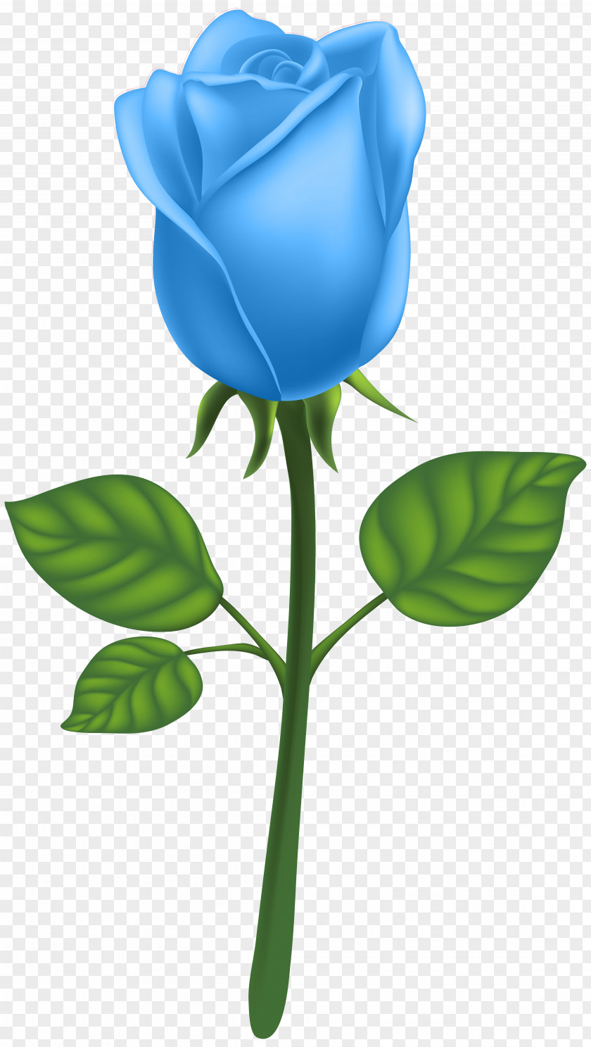 Blue Deco Rose Clip Art Image Garden Roses Adobe Illustrator PNG