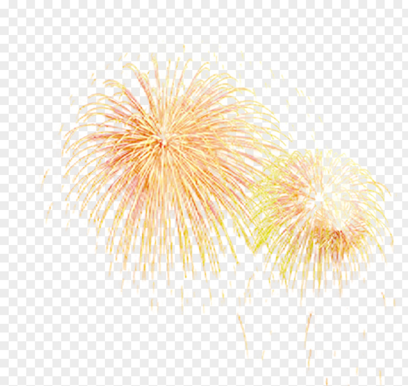 Fireworks,Firework Fireworks Download Pattern PNG