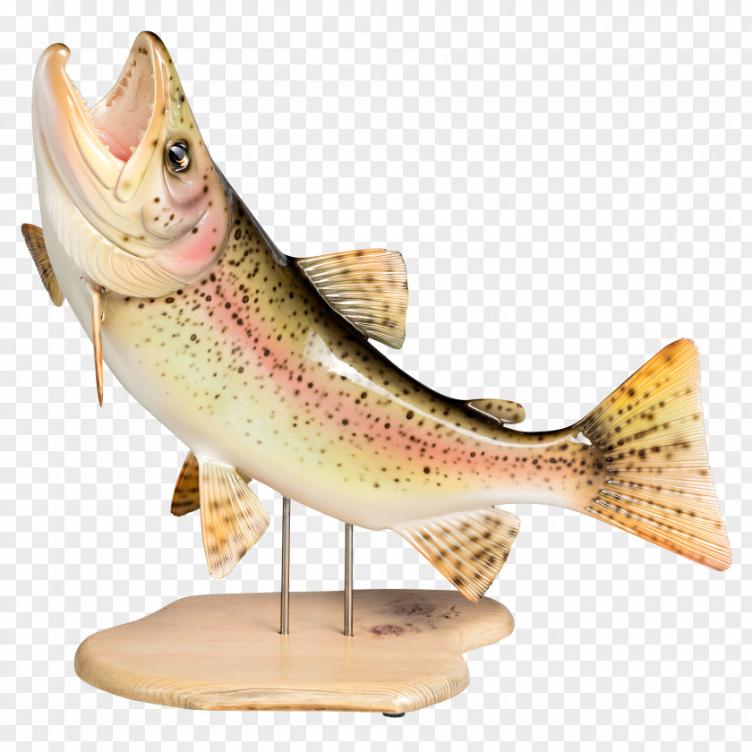 Fish Mouth Cloth Shoes Figurine Trout PNG