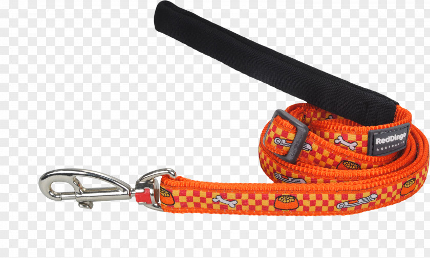 Red Collar Dog Leash Dingo Puppy PNG