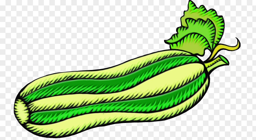 Vegetarian Food Legume Green Leaf Plant Vegetable Clip Art PNG