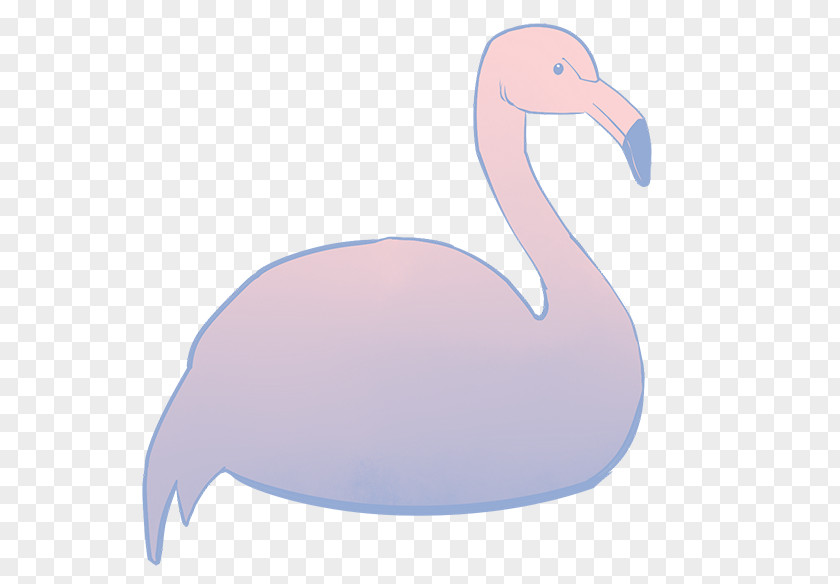 Bird Water Pantone Beak Goose PNG