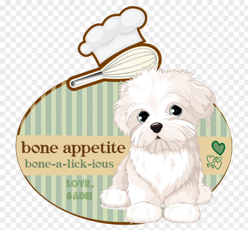 Bunch Of Carrots Maltese Dog Puppy Morkie Havanese Shih Tzu PNG