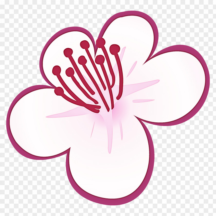 Plum Blossoms Winter Flower PNG