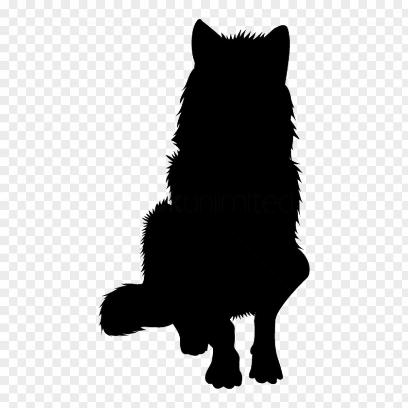 Pomeranian Cat Dog And PNG