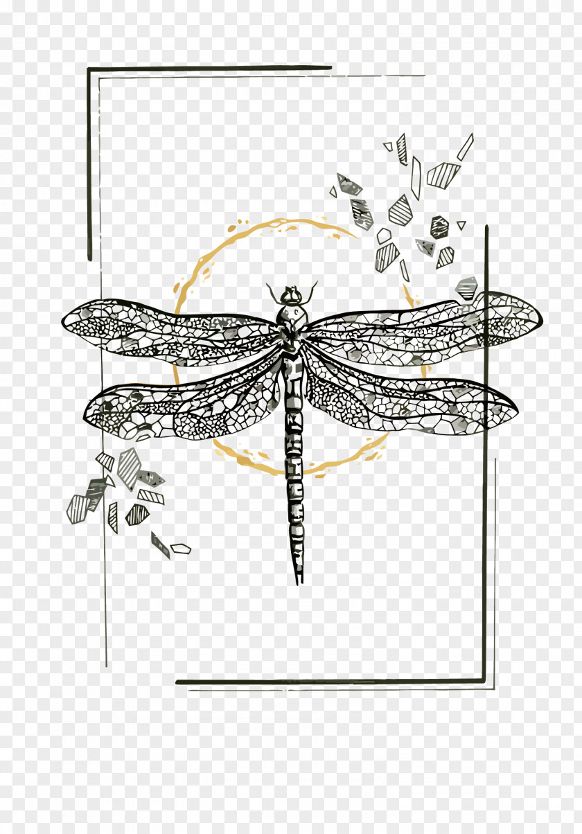 Vector Dragonfly Insect DeviantArt PNG