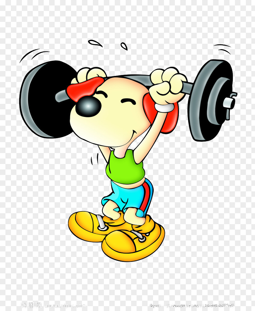 Weightlifting Puppy Cartoon Drawing PNG