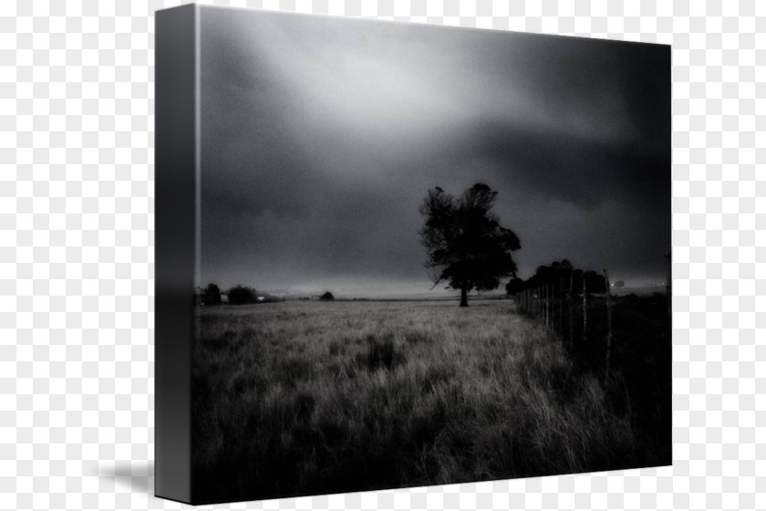 Field Dreams Black And White Picture Frames Still Life Photography Stock PNG