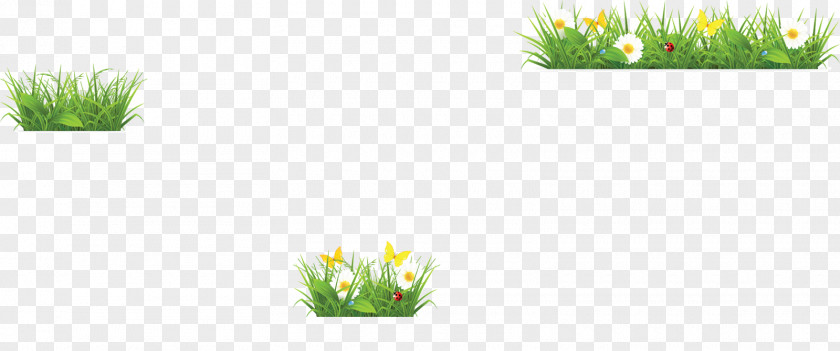 Hoa Van Goc Vector 絵とき植物生理学入門 Flower Grasses PNG