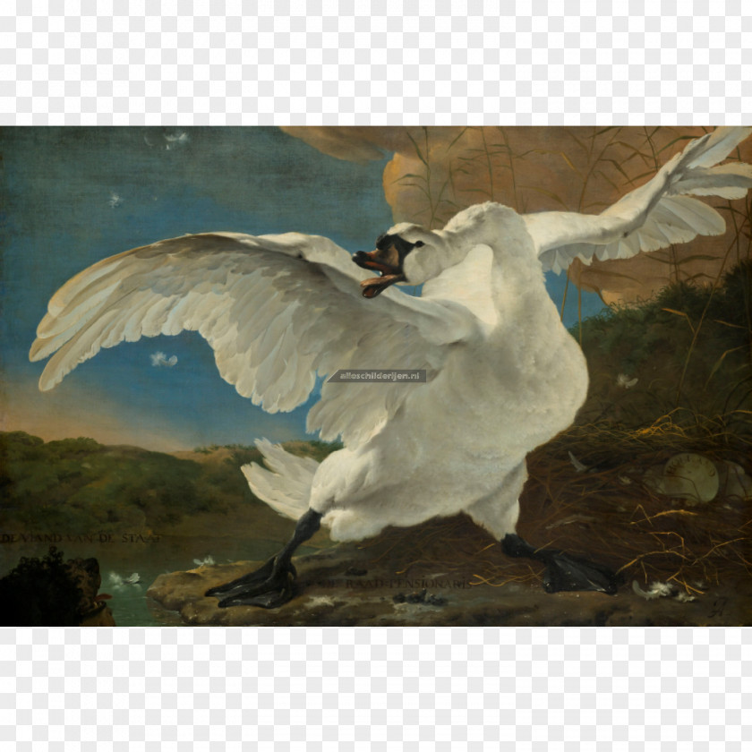 Painting Rijksmuseum The Threatened Swan Dutch Golden Age Art PNG
