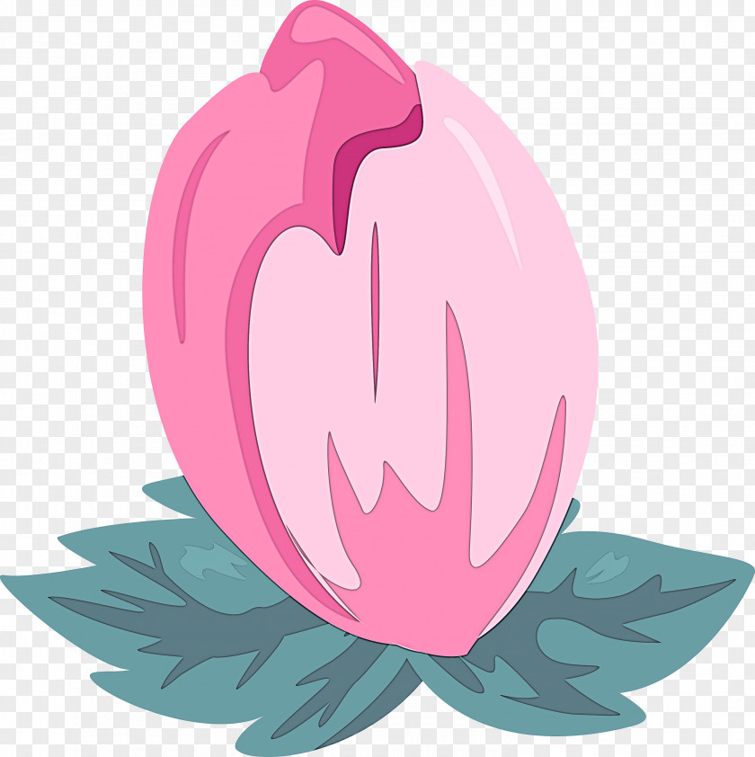 Pink Leaf Plant Petal Flower PNG