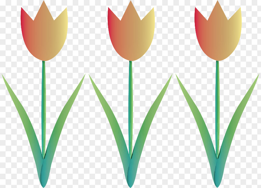 Plant Stem Leaf Tulip Clip Art Flower Grass PNG