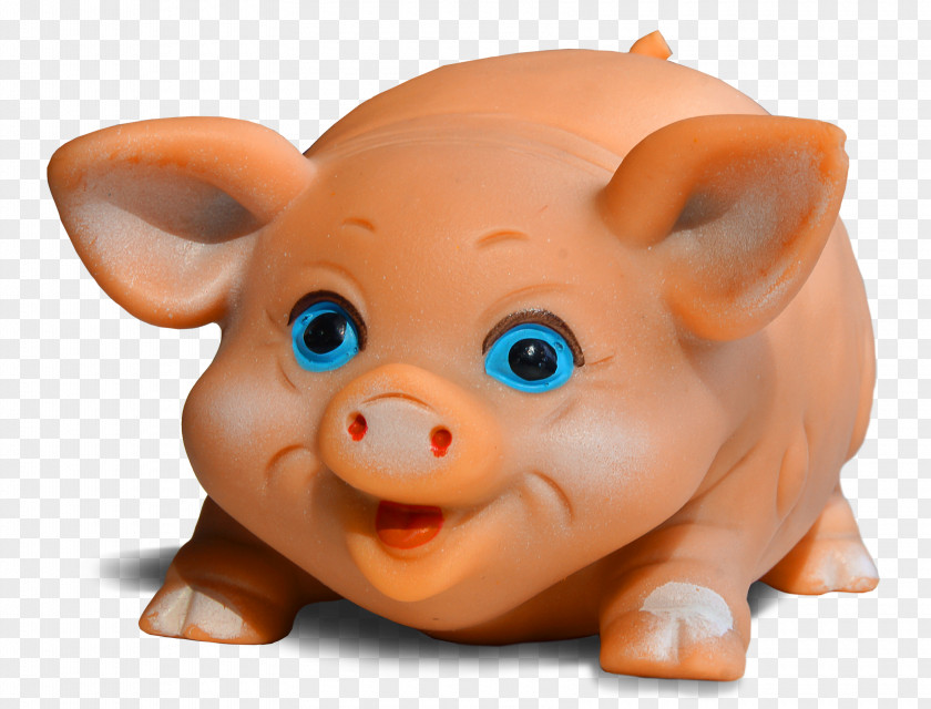 Rubber Duck Hogs And Pigs Toy Snout Photography PNG