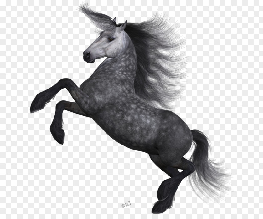 Animation Mare Unicorn Cartoon PNG