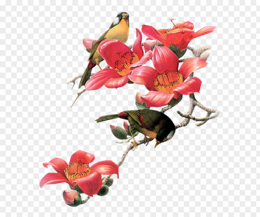 Bird Embroidery PNG