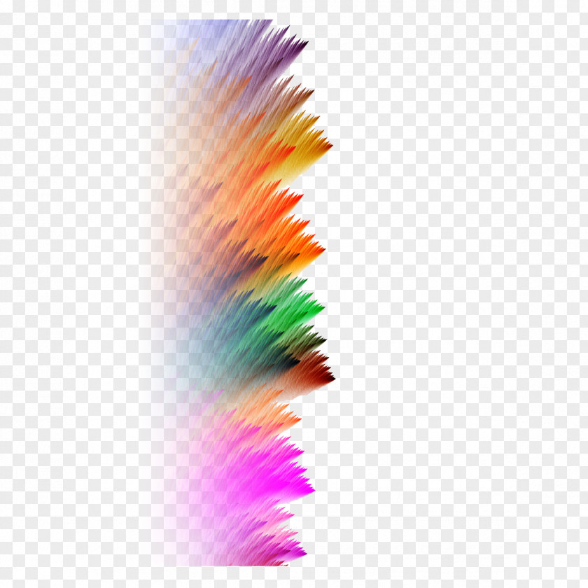 Colorful Art Feather Graphic Design PNG