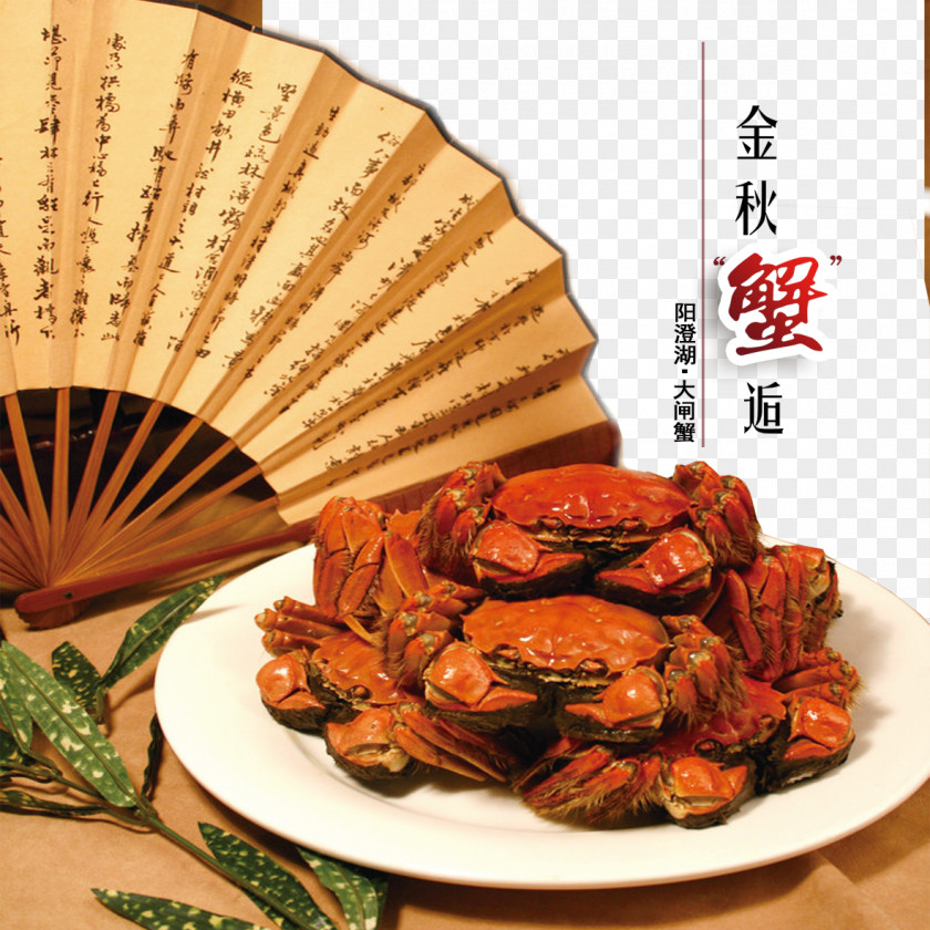 Crab Dishes Yangcheng Lake Chinese Mitten Tsukudani Shanghai Cuisine PNG