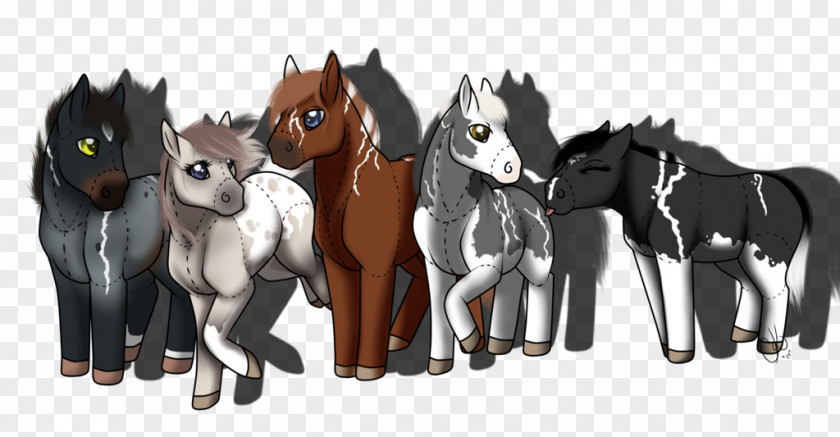 Mustang Pony Foal Stallion Colt PNG