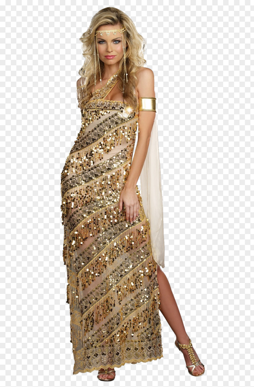 Post Greek Goddess Adult Costume Golden Dress PNG