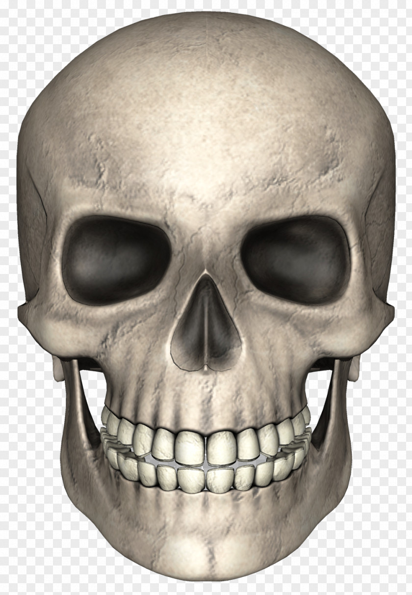 Skull Pixabay PNG