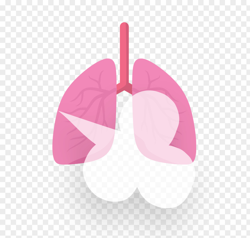 Chronic Obstructive Pulmonary Disease Lung Condition Bronchitis PNG