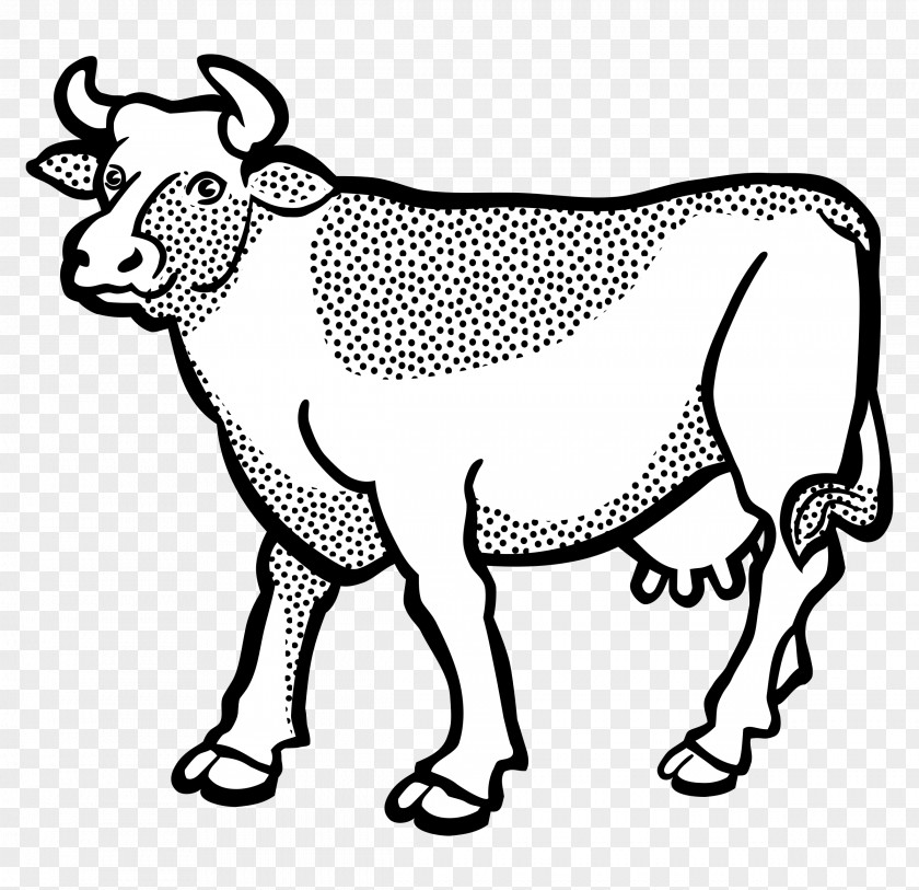 Cow Head Texas Longhorn Line Art Drawing Clip PNG