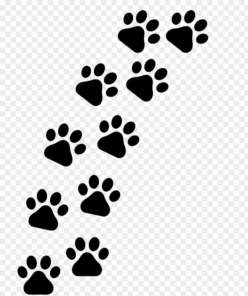 Heart Footprint Dog And Cat PNG