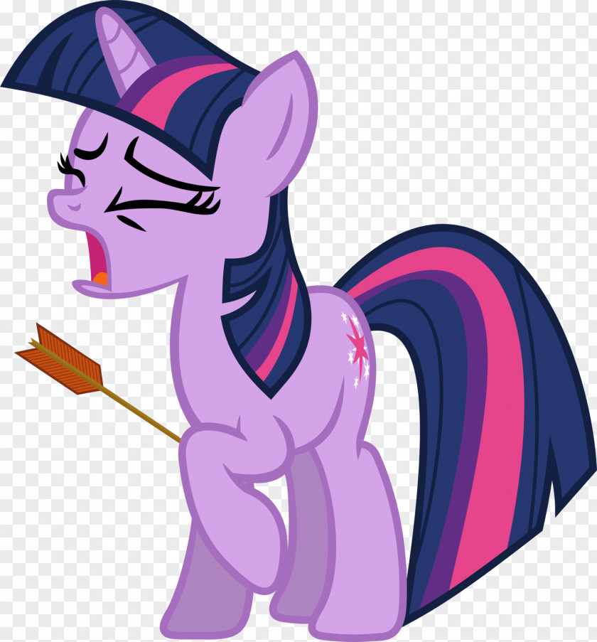 My Little Pony Twilight Sparkle Rarity Pinkie Pie PNG