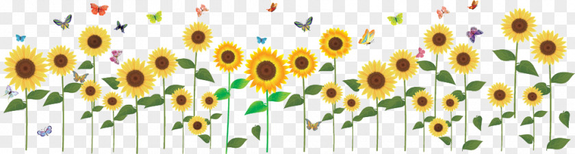 Sunflower Wall Stickers Sticker Common PNG